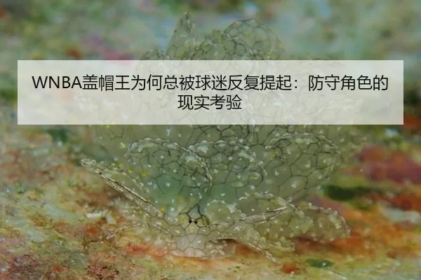 WNBA盖帽王为何总被球迷反复提起：防守角色的现实考验