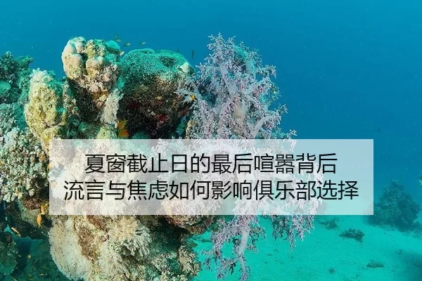 夏窗截止日的最后喧嚣背后 流言与焦虑如何影响俱乐部选择